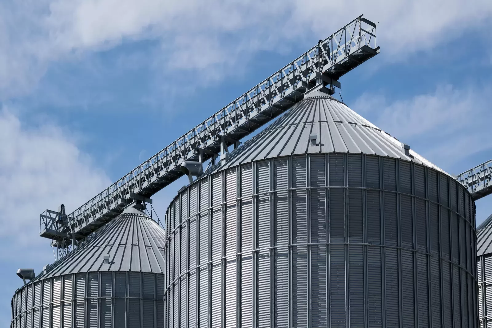 Industria Alimentaria